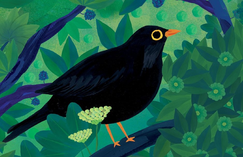 Illustration représentant la peinture d'un merle noir